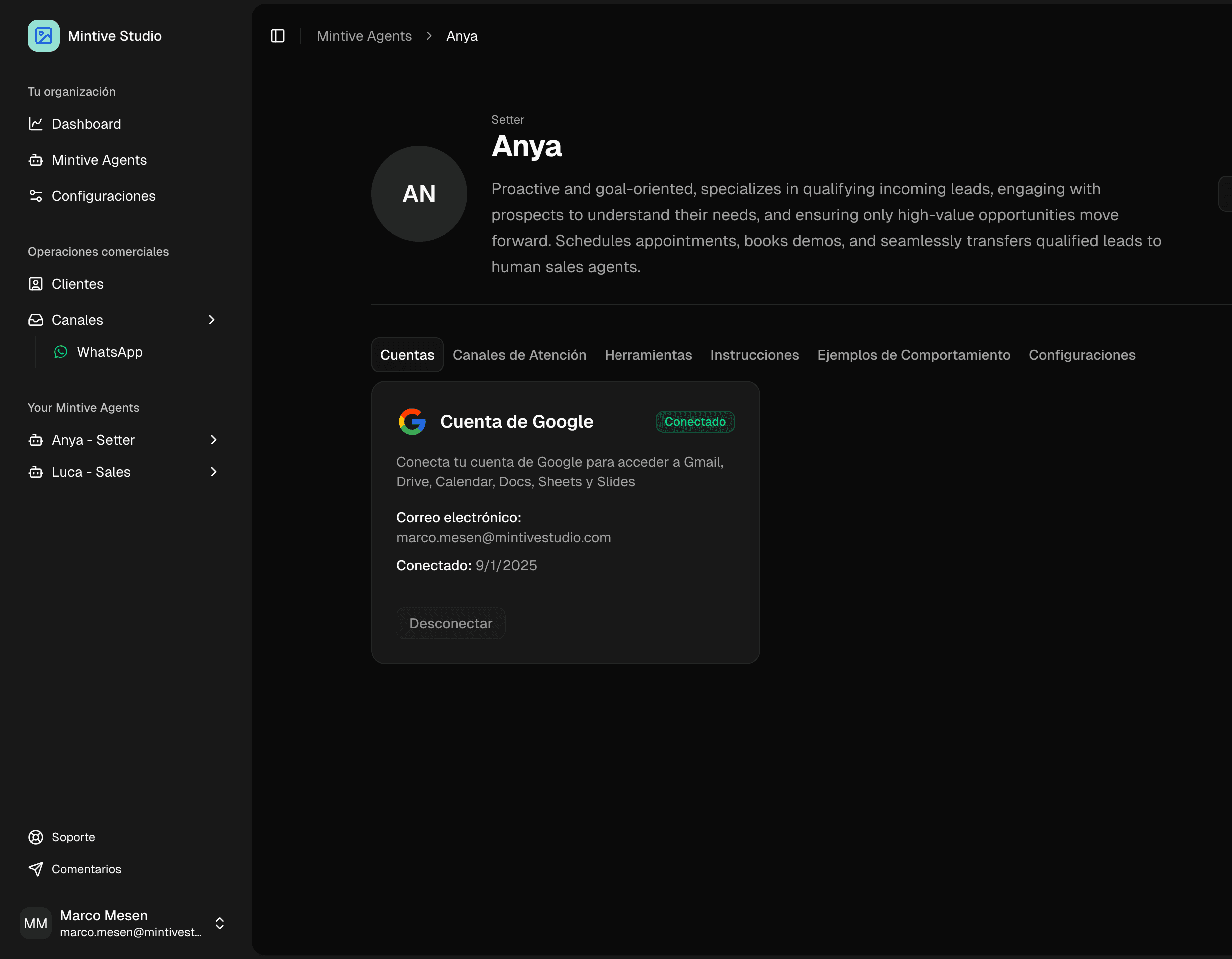 Mintive Agent Demo
